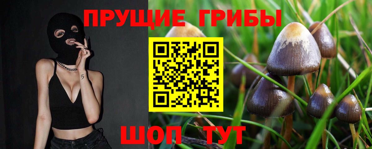 продажа наркотиков  Вход с VPN  Горячий Ключ  Псилоцибиновые грибы Cubensis 